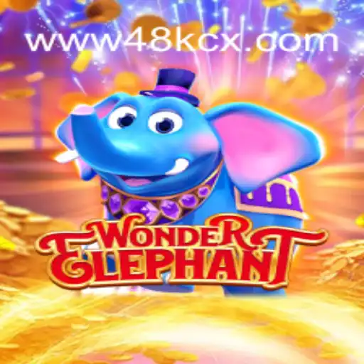 Desvendando o Mundo de WonderElephant e 48KCX.com